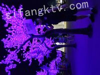 我和愛養泰迪的女友那些風流事 分手後的性生活泄露 內射流精 完美露臉 高清