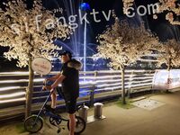 我和愛養泰迪的女友那些風流事 分手後的性生活泄露 內射流精 完美露臉 高清