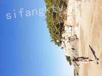 我和愛養泰迪的女友那些風流事 分手後的性生活泄露 內射流精 完美露臉 高清