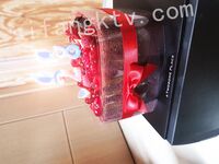 我和愛養泰迪的女友那些風流事 分手後的性生活泄露 內射流精 完美露臉 高清