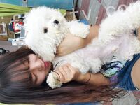 我和愛養泰迪的女友那些風流事 分手後的性生活泄露 內射流精 完美露臉 高清