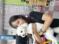 我和愛養泰迪的女友那些風流事 分手後的性生活泄露 內射流精 完美露臉 高清