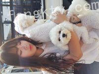 我和愛養泰迪的女友那些風流事 分手後的性生活泄露 內射流精 完美露臉 高清