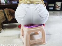 私密電報群內部會員最新收錄 淫妻反差婊私拍甄選 淫亂女神各種操