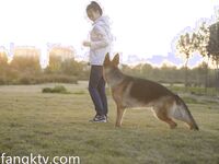 私密電報群內部會員最新收錄 淫妻反差婊私拍甄選 淫亂女神各種操