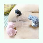 青春無敵 長江後浪推前浪 推特私密圈收集各大網紅小姐姐抖音風變裝BGM裸舞風格奇葩另類