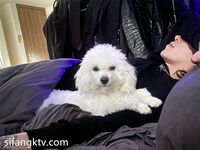 牛逼推特大神 『KINGM』與專屬小母狗分享性愛日記《虐愛》豐臀美穴各種操