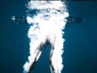 超人氣大神『王動』2022最新重磅私拍 全新嫩模 全裸出鏡 情色藝術完美結合 高清