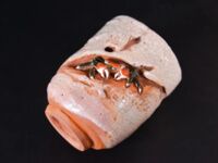 超人氣大神『王動』2022最新重磅私拍 全新嫩模 全裸出鏡 情色藝術完美結合 高清