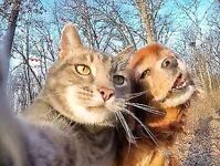 字母界女神『薈萃』帶壞淫戲調教母狗 露出訓犬捆綁 調教金屬光澤閃耀M奴之心 高清