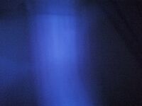 字母界女神『薈萃』帶壞淫戲調教母狗 露出訓犬捆綁 調教金屬光澤閃耀M奴之心 高清