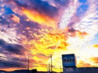 字母界女神『薈萃』帶壞淫戲調教母狗 露出訓犬捆綁 調教金屬光澤閃耀M奴之心 高清