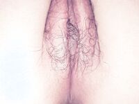 最新電報群『極美性愛』私拍流出 淫亂女神性愛亂操 只要性不要愛 完美露臉 高清