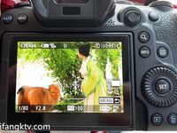 【唯美女神 重磅精品】最新推特五位『稀有古裝風』色影大神私拍甄選 落蘇