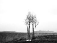 走另類情色唯美路線的攝影大咖AMA女體藝術私拍各種露臉極品反差美模觀感另一種滋味