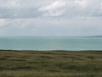 走另類情色唯美路線的攝影大咖AMA女體藝術私拍各種露臉極品反差美模觀感另一種滋味