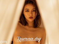 土豪尤物『抖叔』+色影大神『酒月』+頂級女神『希威社』最強七月甄選 視覺盛宴 -Reservoir Dog